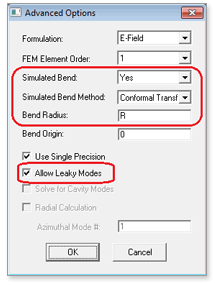 Advanced Options | Synopsys